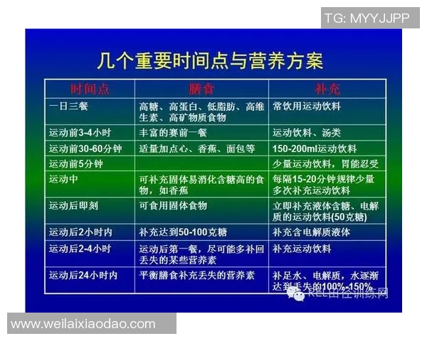 成都乒乓球队耐力对比分析揭示训练方法与竞技表现的关系