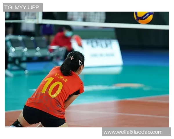 对话王敏：回顾她的排球生涯与成长历程的深度访谈