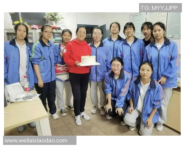 杭州排球队的实力解析与未来发展展望探讨