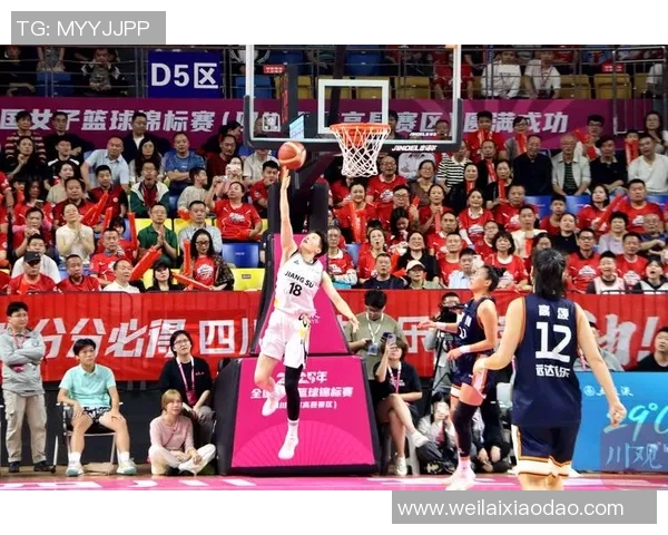 成都篮球队实力飙升创新高引发全国关注与热议