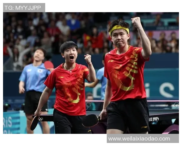 乒乓球的魅力:深入探讨深圳乒乓球队的团队协作与精神风貌