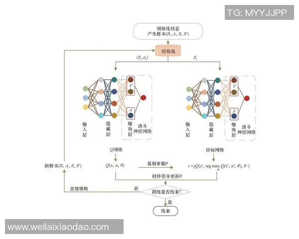 广州排球队的战术解析与控制能力深度剖析