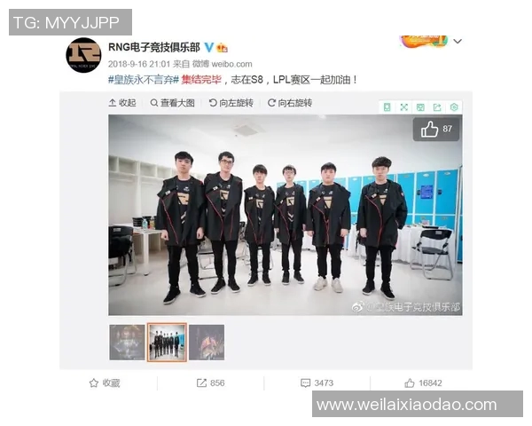 成都网球队实力解析：从青训到职业选手的全面发展之路