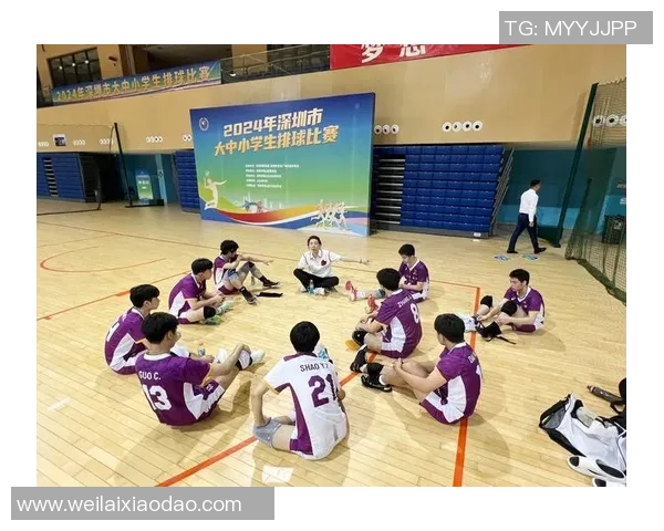 深圳排球队快攻战术解析：深度剖析排球技术与团队配合的完美结合